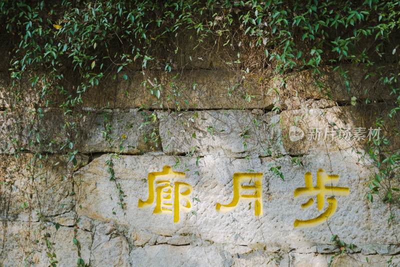 崂山太清宫秋季景色