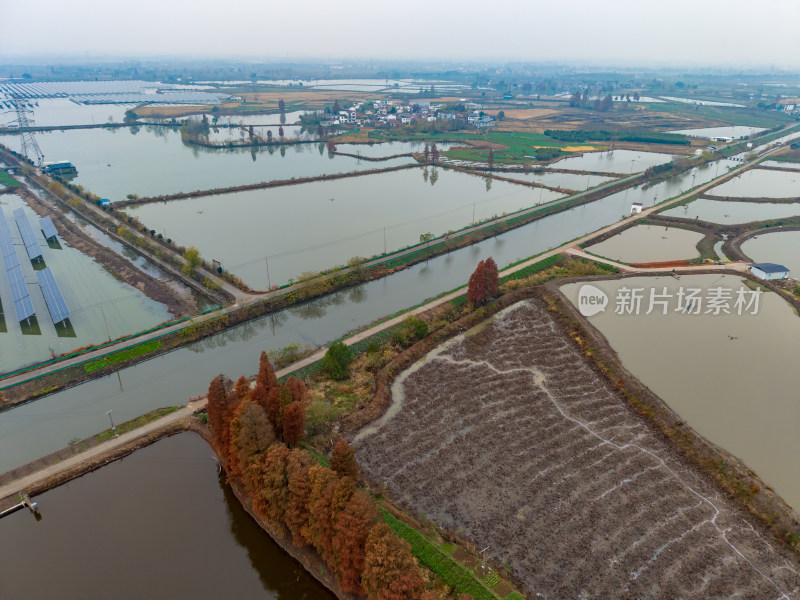 农村田园秋季风景