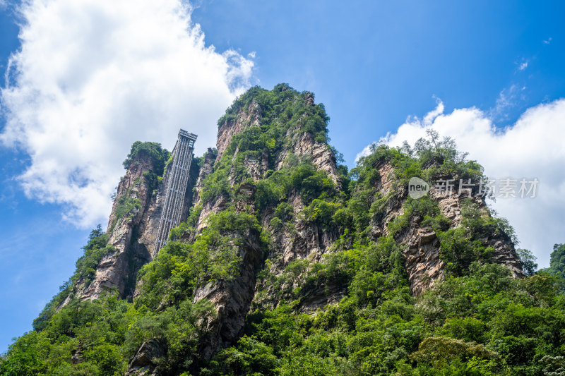 中国湖南张家界景区奇特山峰与茂密森林