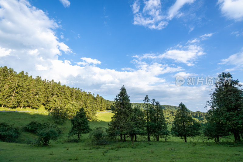 重庆市武隆区仙女山国家森林公园