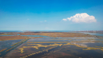 大海海边沙滩风车自然风光蓝天白云航拍