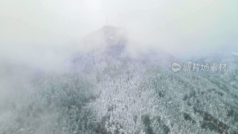 航拍大山森林冬天雪景迷雾