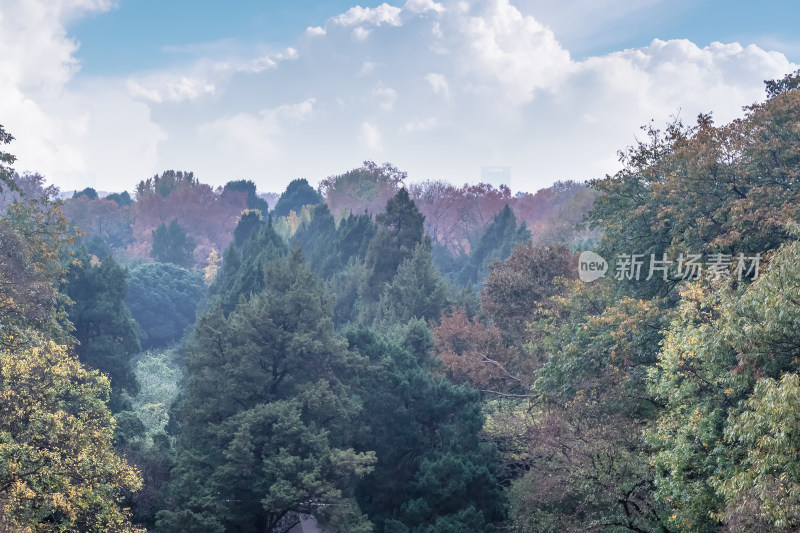 南京钟山风景名胜区明孝陵风景