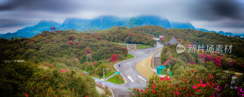 百里杜鹃普底景区全景