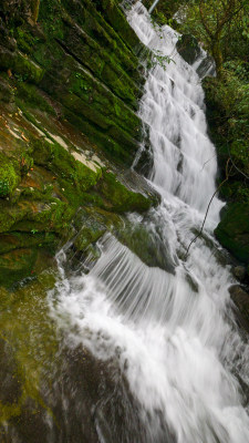 大山河流溪水水流慢速