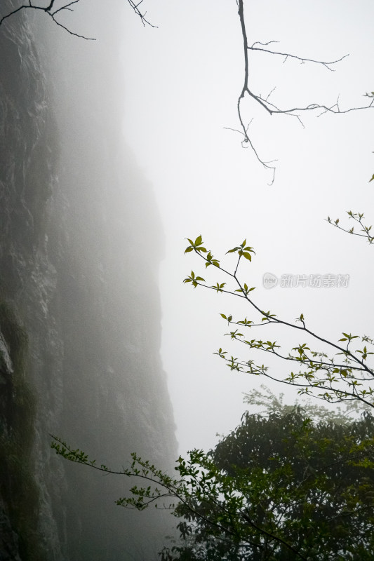 庐山风景区