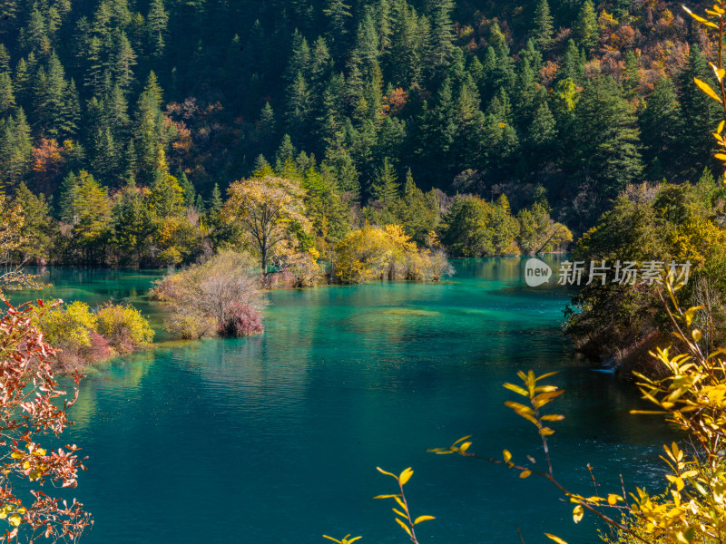 九寨沟秋景