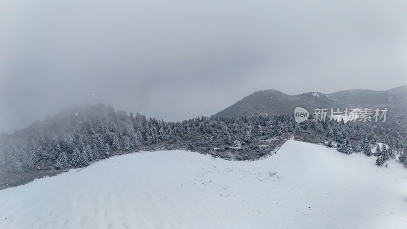 重庆酉阳：大雪纷飞赏雪忙