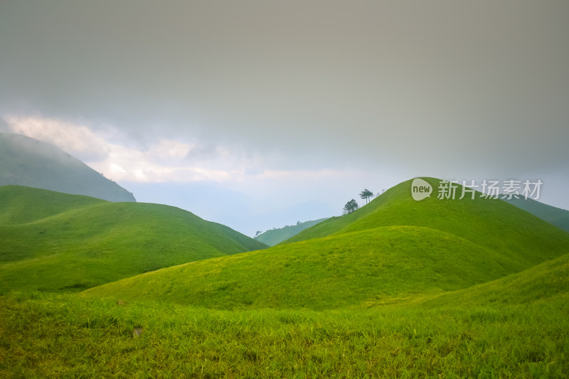 江西武功山高山草甸