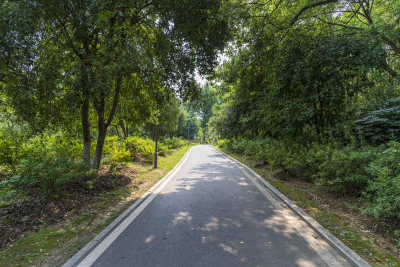 武汉青山公园风景