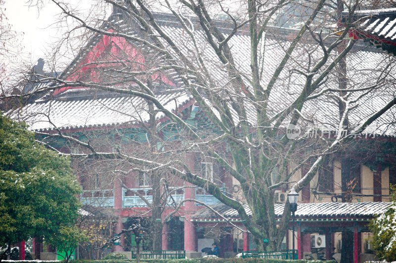 南京师范大学随园校区的雪景