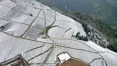 农村村庄里的大雪寒潮天气