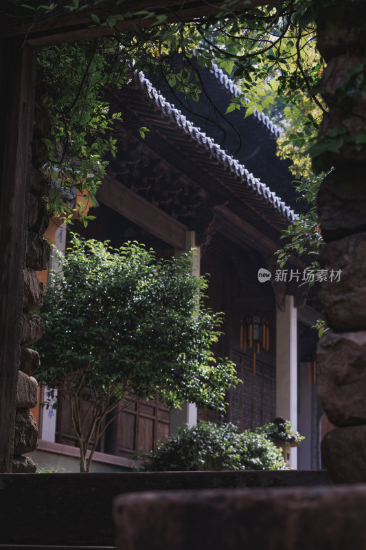 中式古建筑与绿植景观