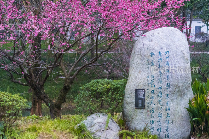 成都浣花溪公园