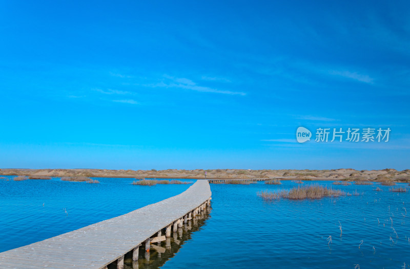 内蒙古额济纳旗居延海景区湖泊芦苇木栈道