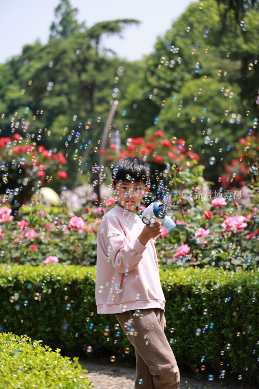 杭州花圃迎亚运月季花展赏花的男孩