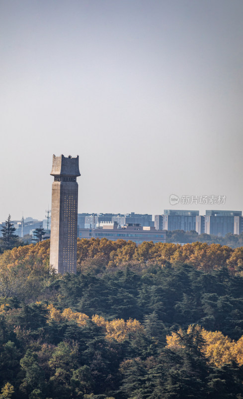 南京雨花台城市山林景观全景