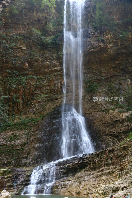 湖北宜昌三峡竹海风景区，自然风光，竹海