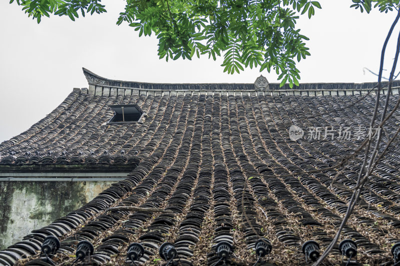 绍兴仓桥直街江南水乡风景