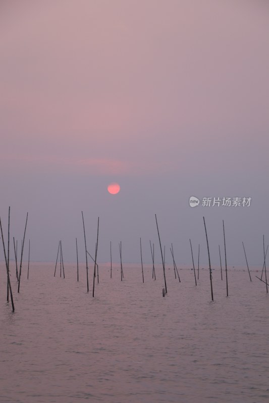 滩涂日出