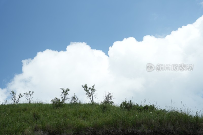 麻田岭夏季风光