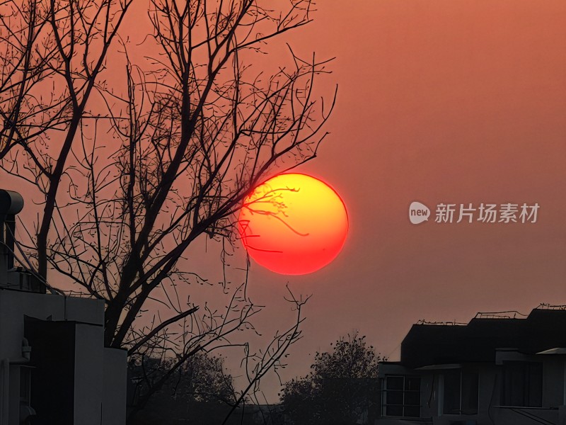 夕阳下的树影与民居构成的美丽画面