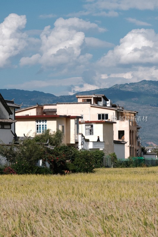 云南大理喜洲田野远山与乡村景象