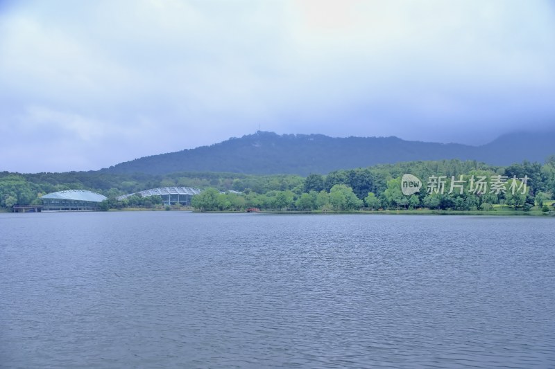 南京钟山景区 前湖 琵琶湖