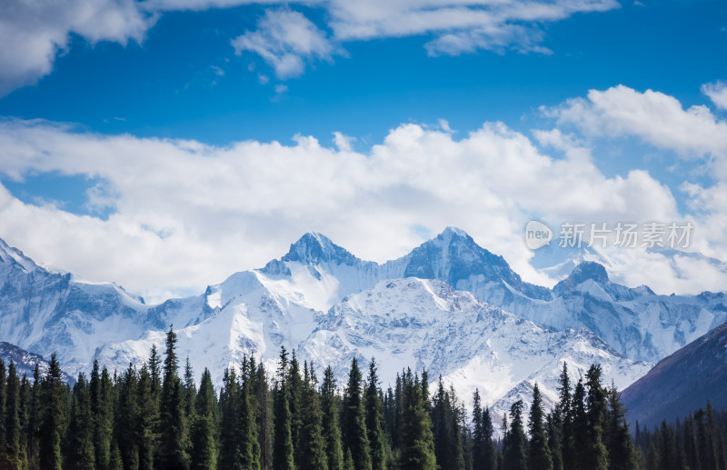 新疆天山山脉雪山森林山峰风景