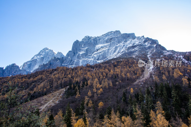 川西四姑娘山双桥沟景区雪山秋色