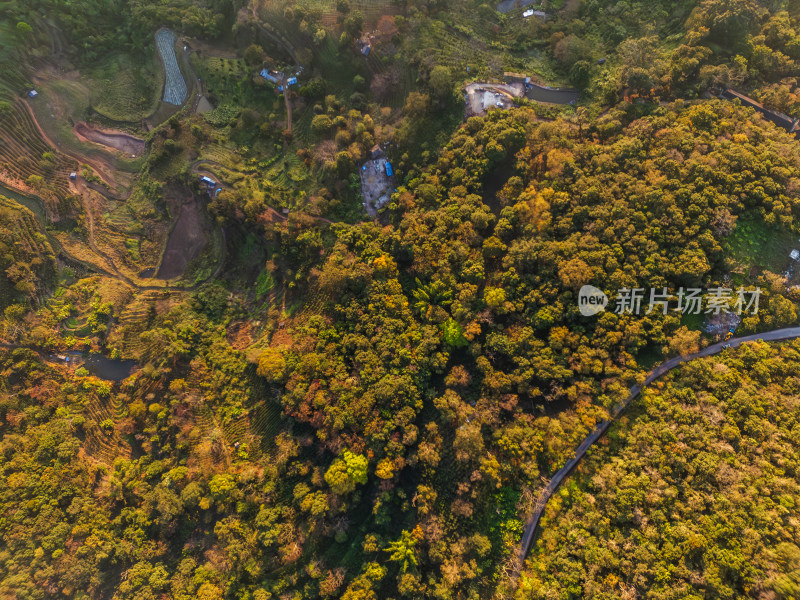 航拍视角下的景迈山山脉自然风光