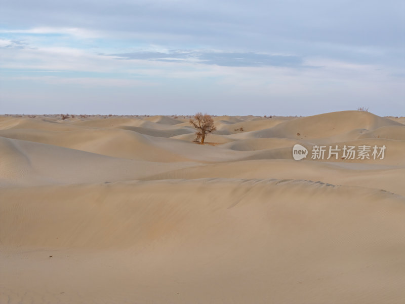 新疆南疆塔克拉玛干沙漠沙漠航拍