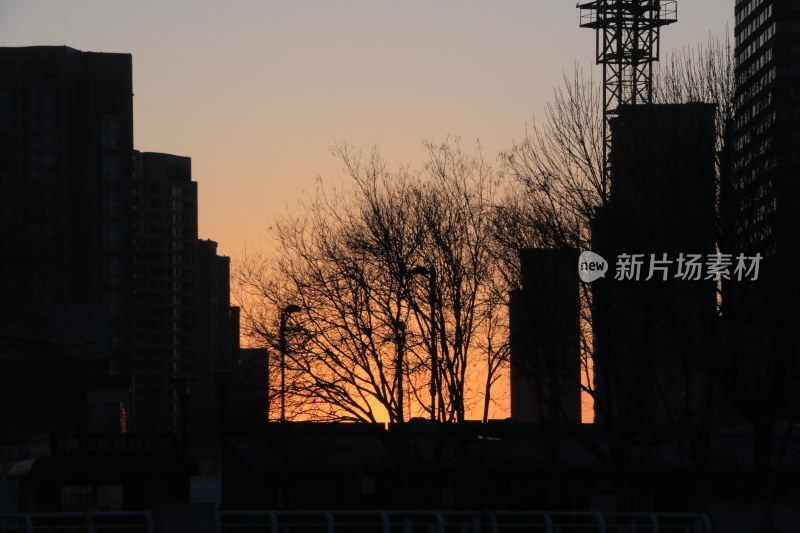 城市河畔夜景与建筑起重机