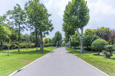 武汉青山区戴家湖公园风景