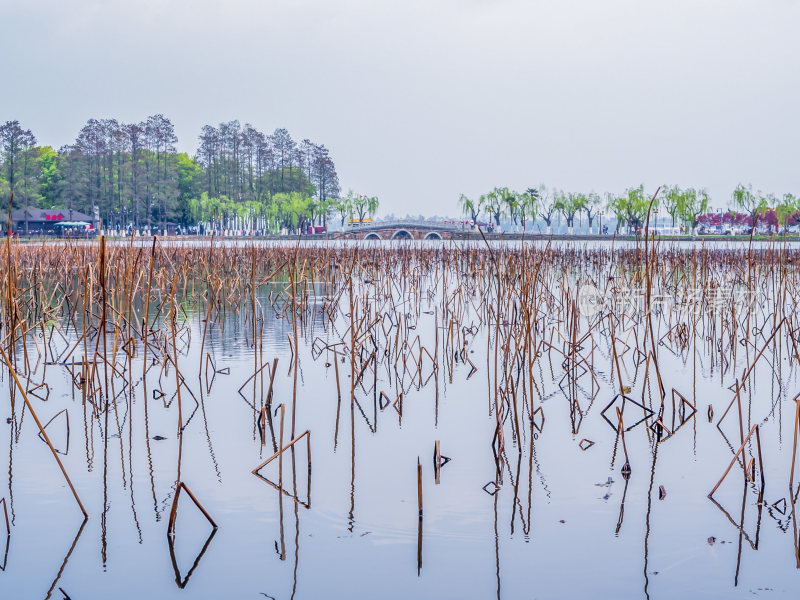 武汉东湖风景区景点风光