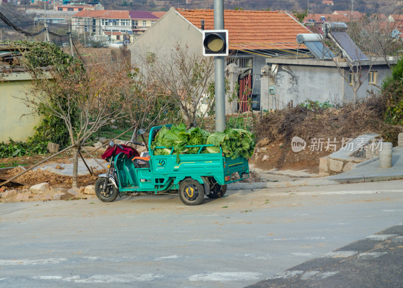 一辆停靠在路边的三轮车菜车