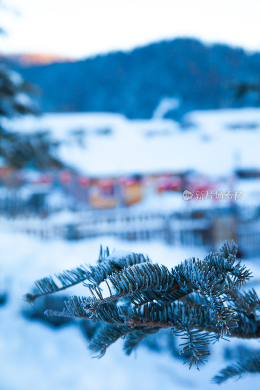 黑龙江 双峰林场 雪乡