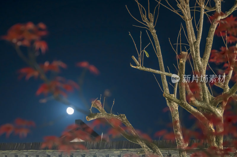 绍兴柯桥古镇景区夜景