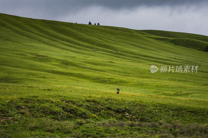 川西格聂高山草甸自然风光徒步旅行