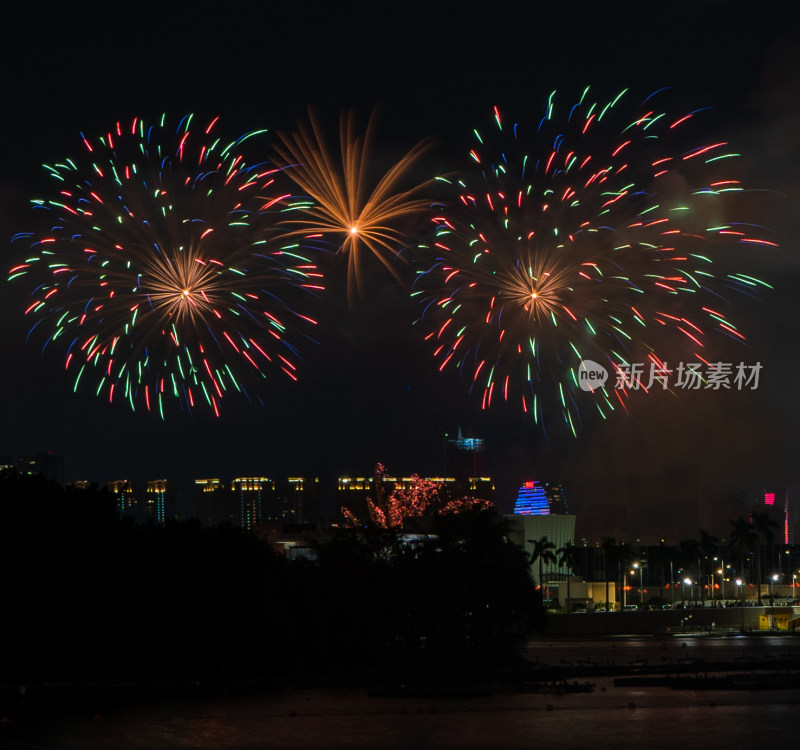 夜空中绽放的绚丽烟花