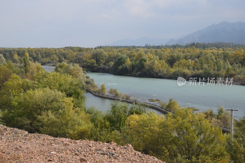 塔里木河  新疆 河流 秋景  水  自然