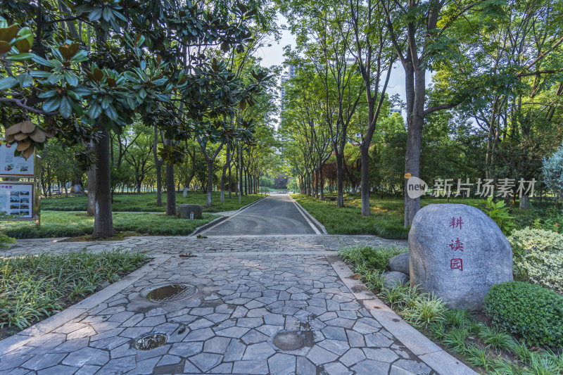武汉青山区和平公园风景