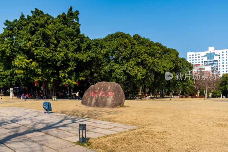 福州春天绿意盎然的冶山春秋公园景色