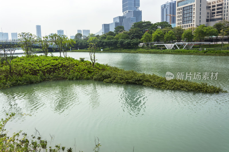 深圳桂湾公园