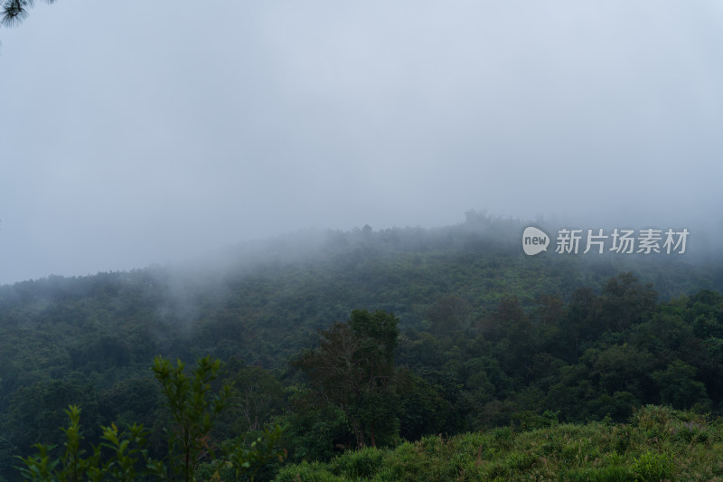 云雾缭绕的山间秘境