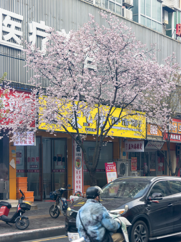 2024春季高山街街景