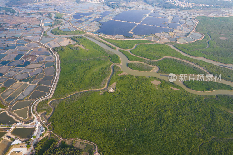 湛江高桥红树林保护区