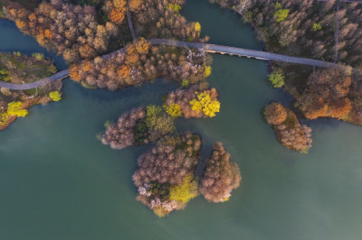 杭州萧山湘湖老虎洞景区秋色航拍