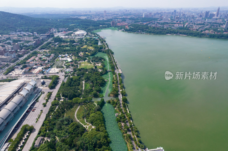 江苏南京玄武湖城市风光航拍摄影图