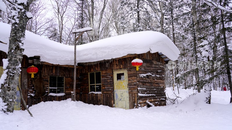 林海雪原